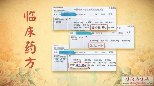 养生堂20160628肾病患者能不能吃豆类,如何吃豆