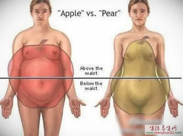 苹果形肥胖与梨形肥胖