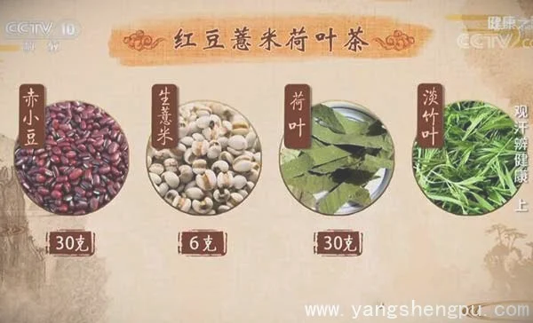红豆薏米荷叶茶