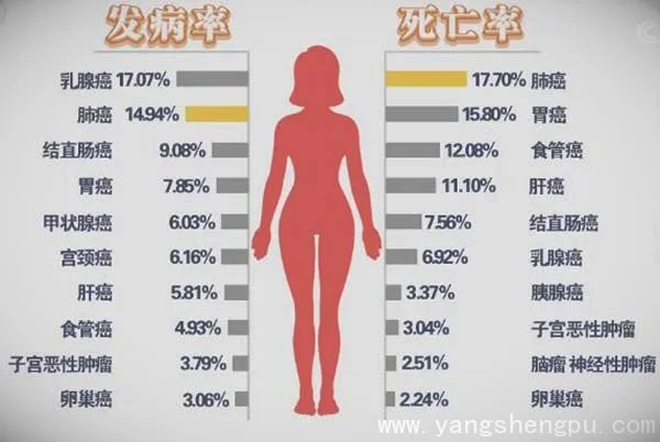 女性各类癌症的发病率与死亡率