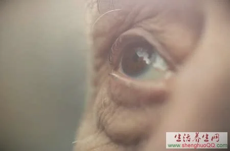 养生堂:老花眼-黄斑病变-白内障20150118