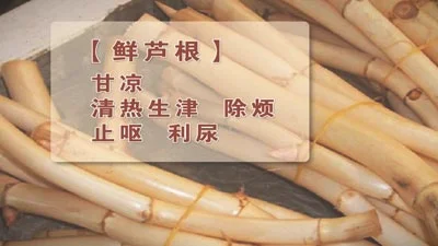 养生堂20140322视频,中医调理小儿脾胃之气