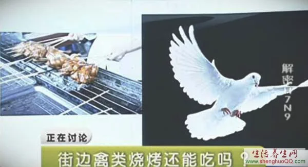 禽流感H7N9_健康之路20130525董小平