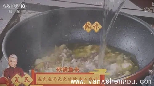 夏大厨的砂锅鱼头