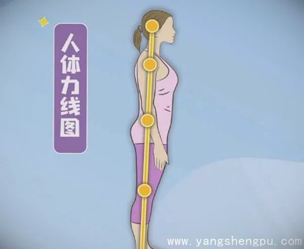 X型腿,O型腿,骨盆前倾20200816健康之路