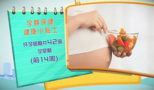 健康有道20140314视频,怀孕周期及注意事项