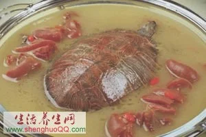 乌龟羊肉汤