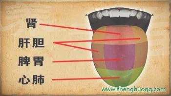 贵州卫视养生 舌诊-舌头上反应的问题20140402