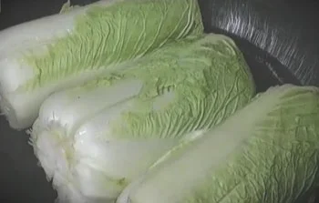 豆汁酸菜的做法-白口的白菜