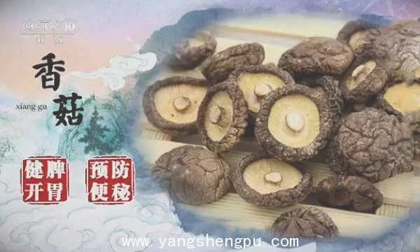 健康之路20180222王晏美,香菇,木耳,白花酿香菇
