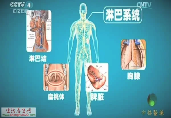 中华医药20151223当心淋巴瘤