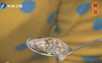 粉饺的做法视频