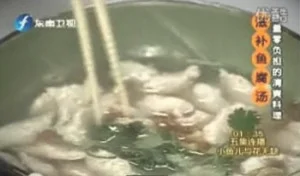 滋补鳗鱼腐汤的做法视频