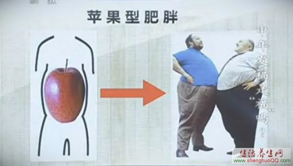苹果型肥胖_图片