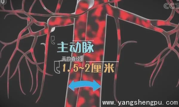 健康之路:腹主动脉瘤,胸主动脉瘤,高血压20190614刘鹏