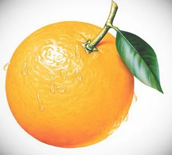 橘子,白果,大枣的功效与作用【健康之路视频】